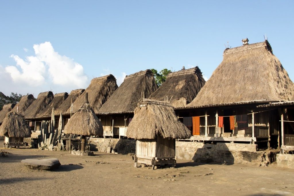bena tour pesona alam komodo bena-tour-pesona-alam-komodo
